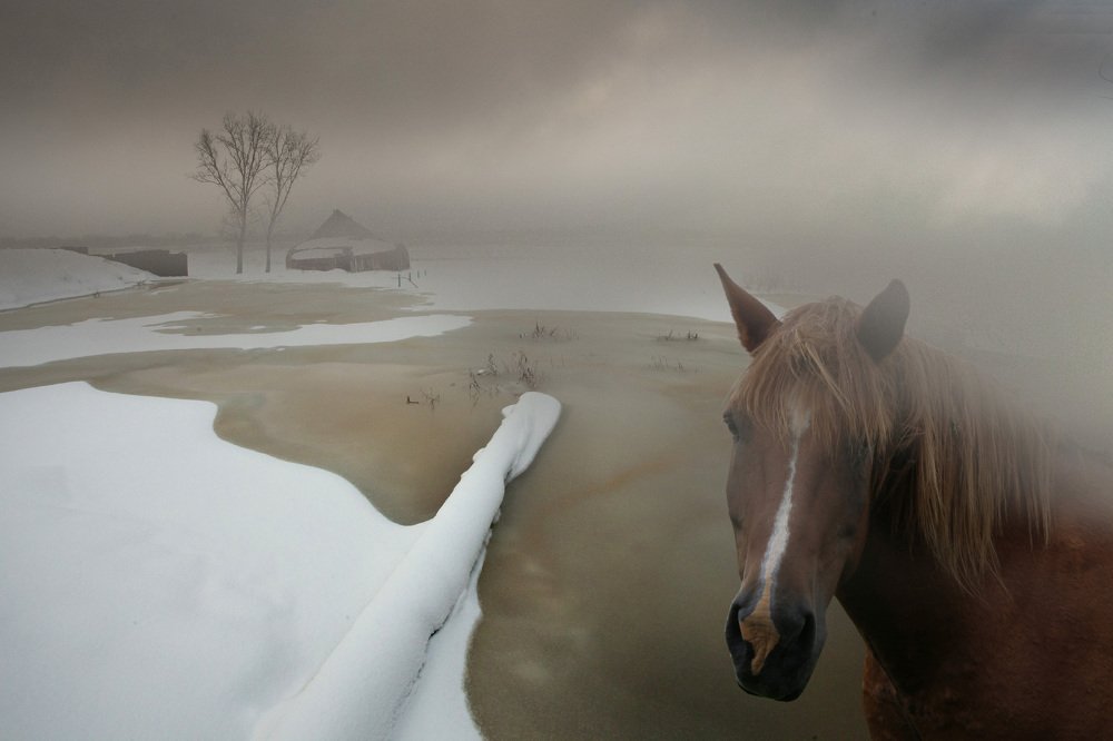 Photograph by Светлана