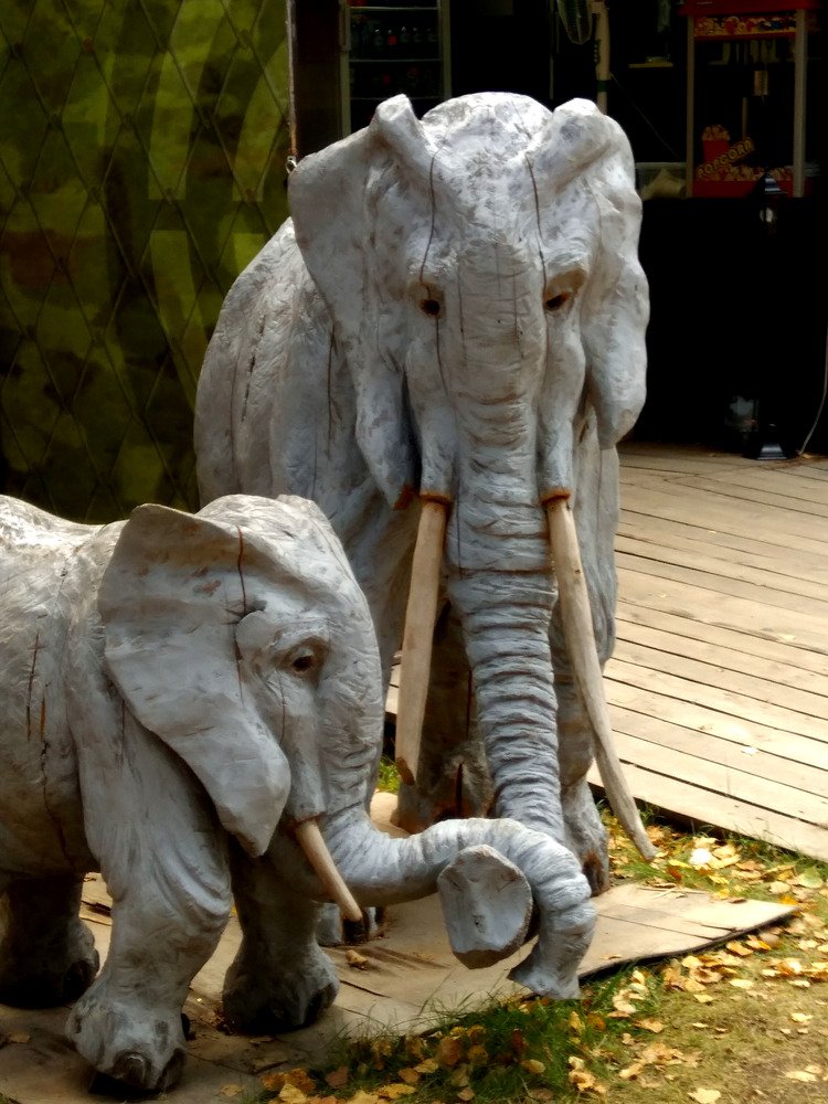 Photograph by Ирина Вассерлауф