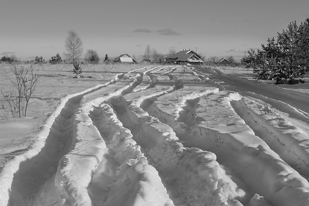 Photograph by Дмитрий Алексеев