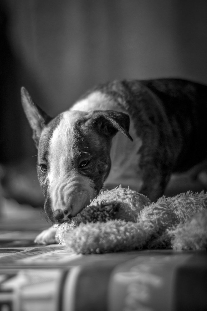 Photograph by Виола Поликарпова