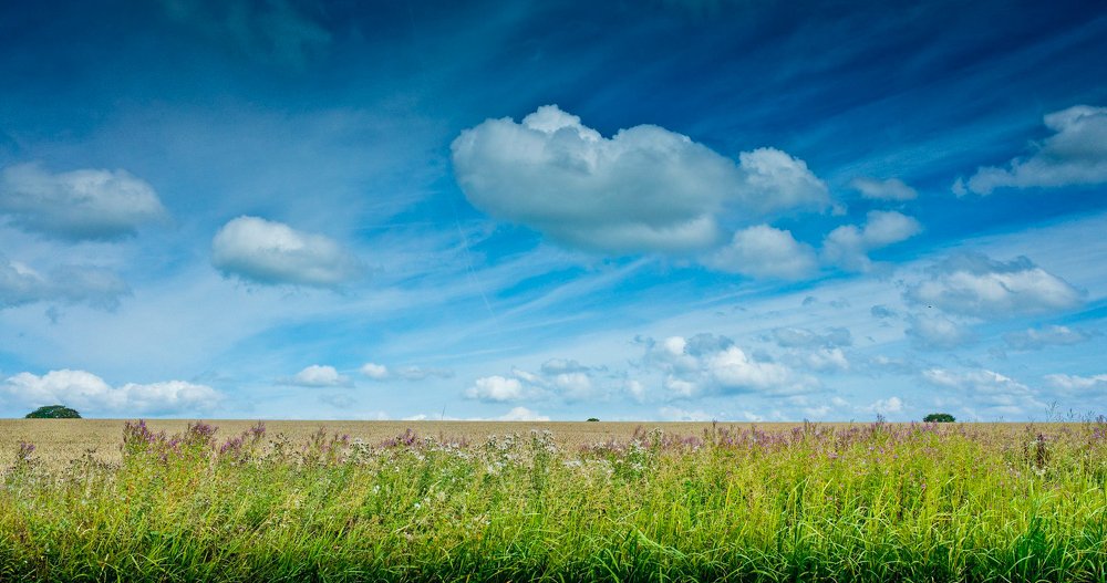 Photograph by Andrei Toma