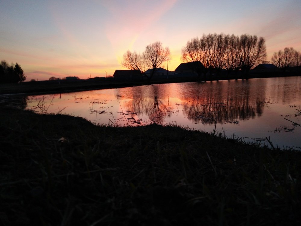 Photo #4299261