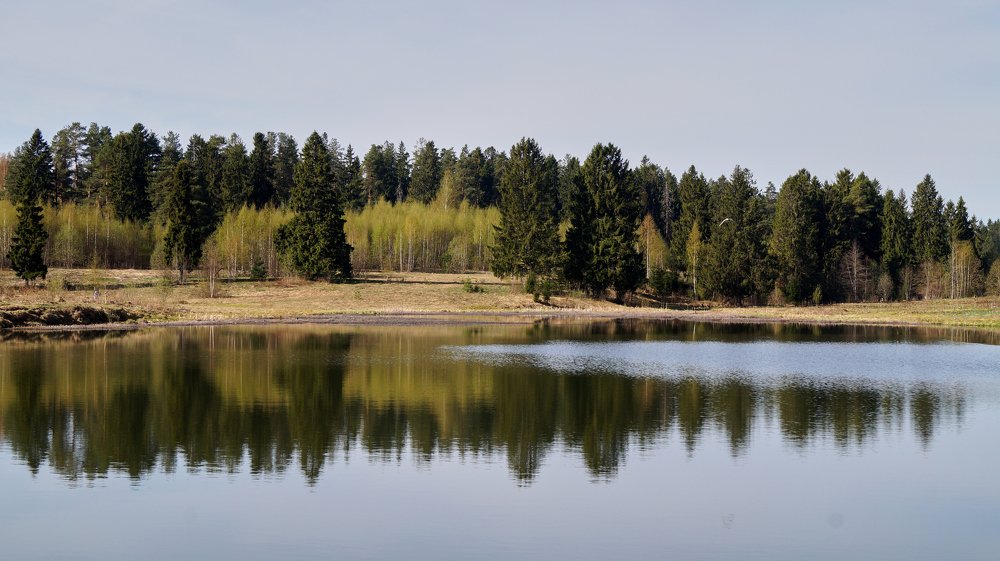 Photograph by Александр Гуреев