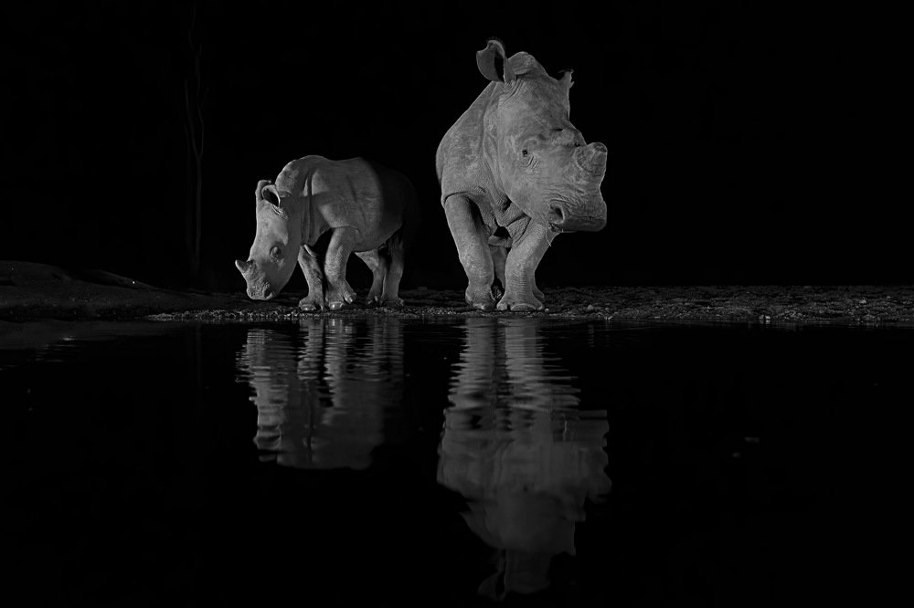 Photograph by Giovanni Frescura