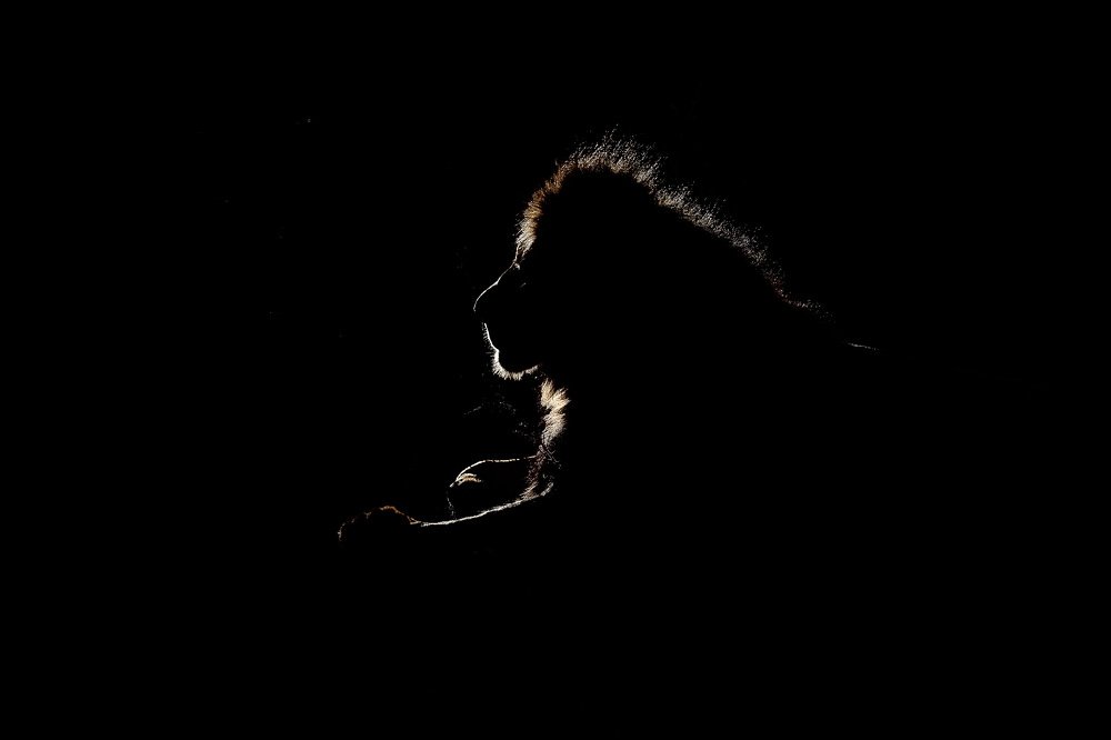 Photograph by Giovanni Frescura