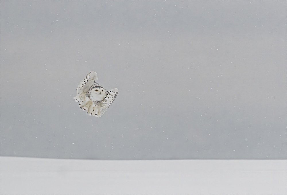 Photograph by Giovanni Frescura