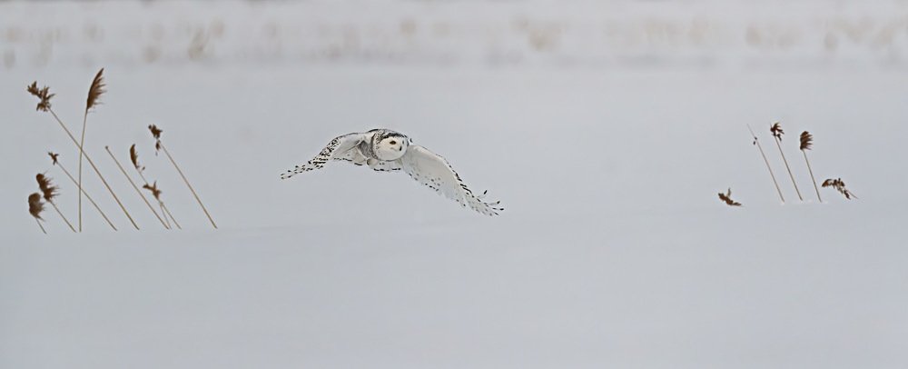 Photograph by Giovanni Frescura