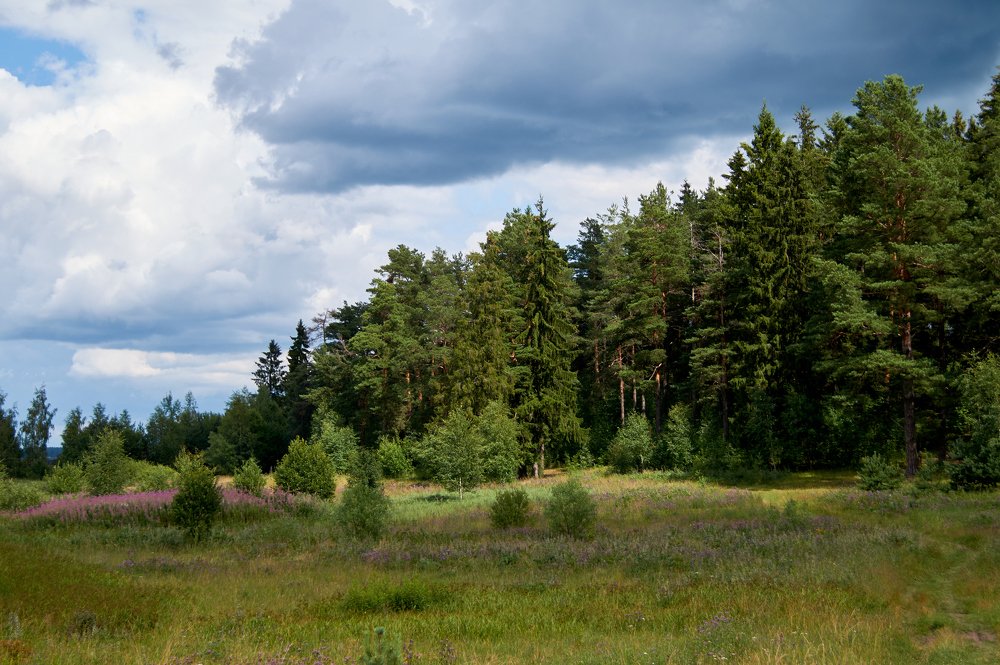 Photograph by Александр Гуреев