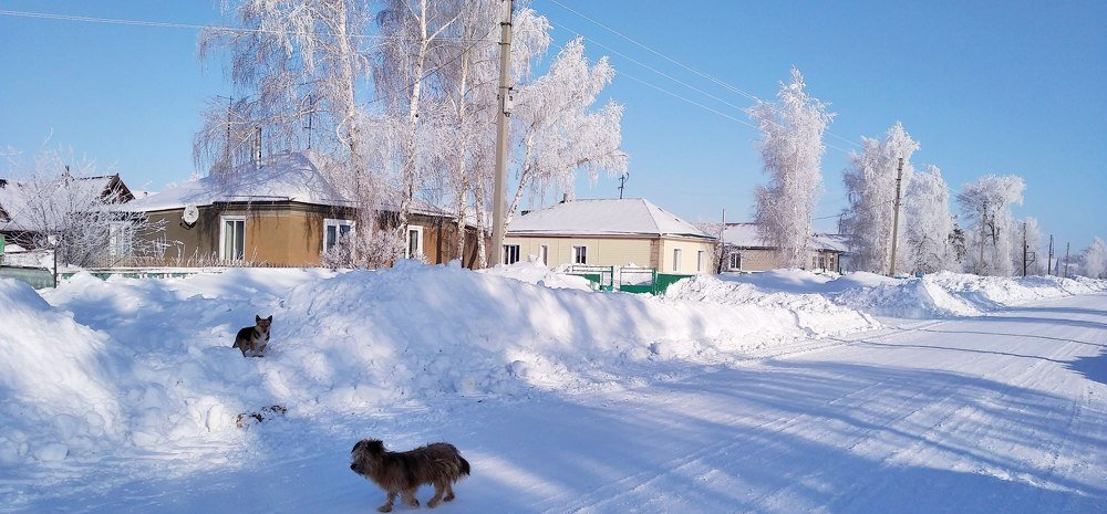 Зимняя улица