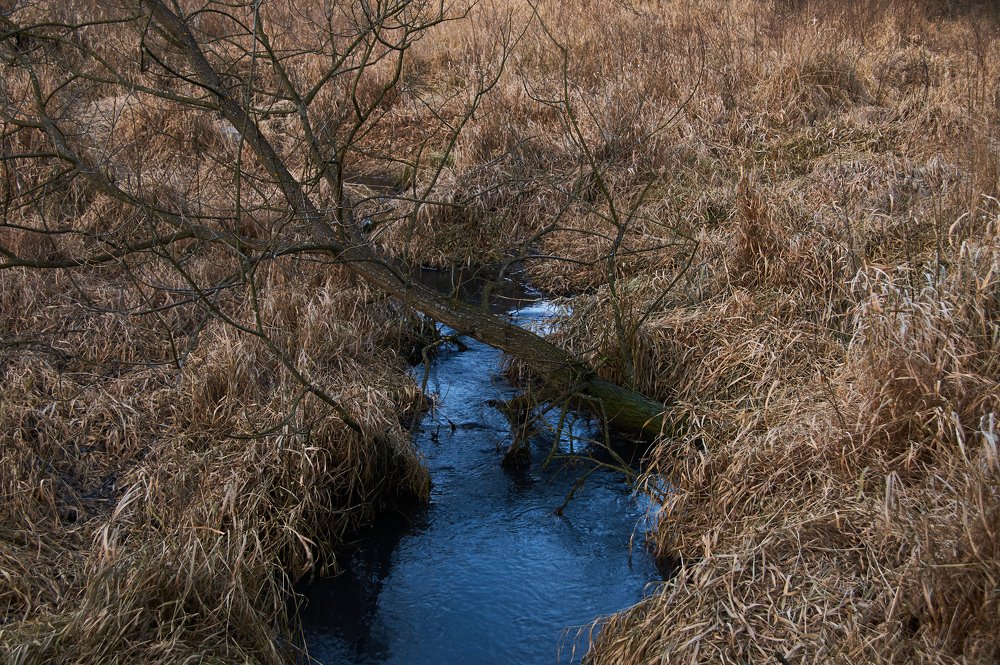 Photograph by Александр Гуреев