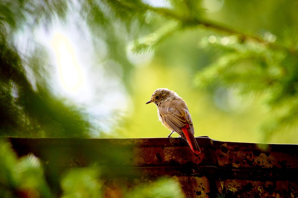 Photograph by Владислав Левашов