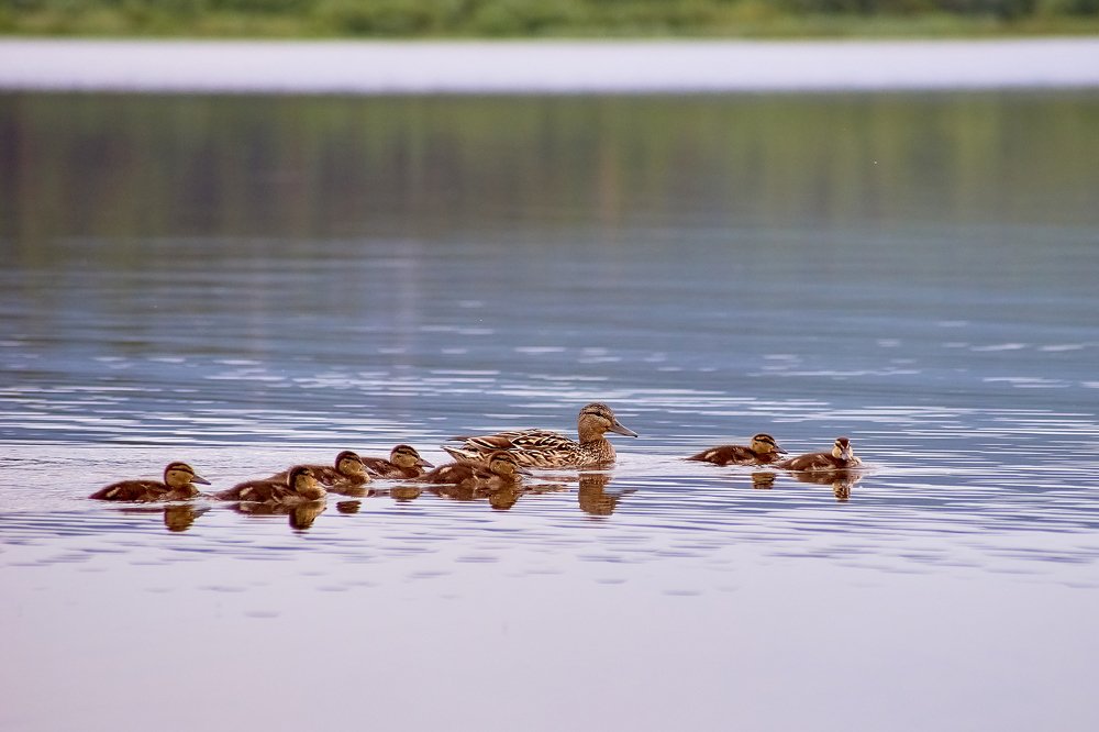 Photograph by Владислав Левашов