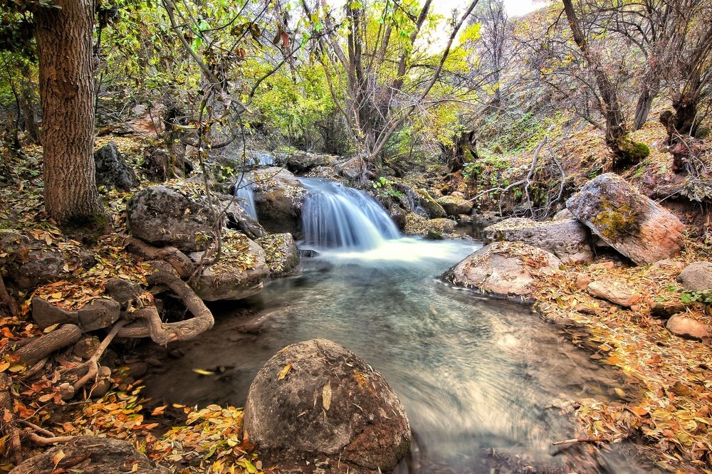 Photograph by Jalal Ahmadi