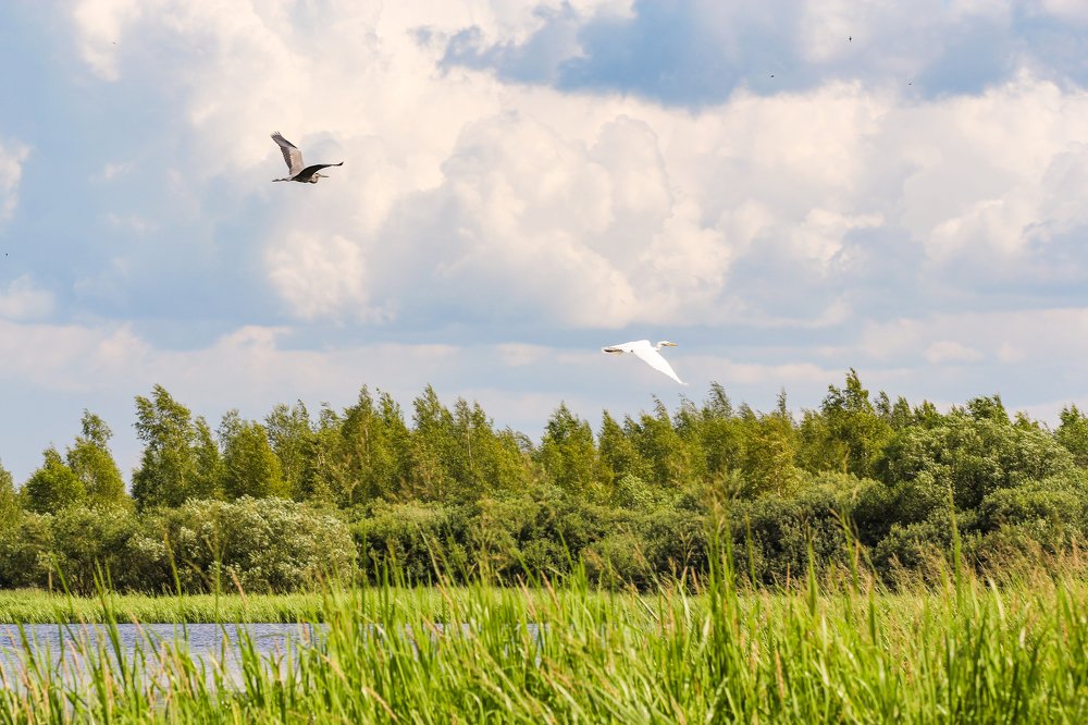 Photograph by Герман