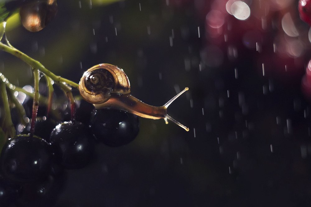 Photograph by Полина Васеева