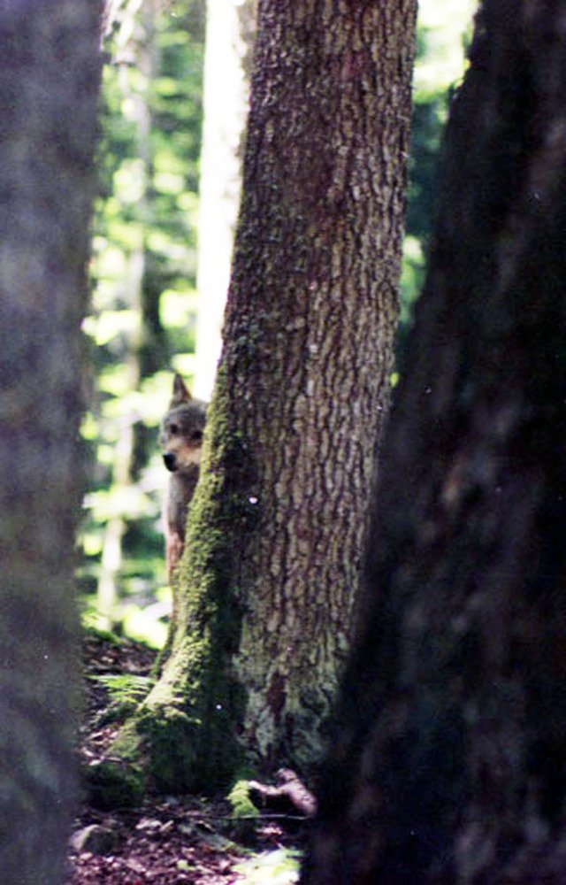 Photograph by Юрий Спасовский