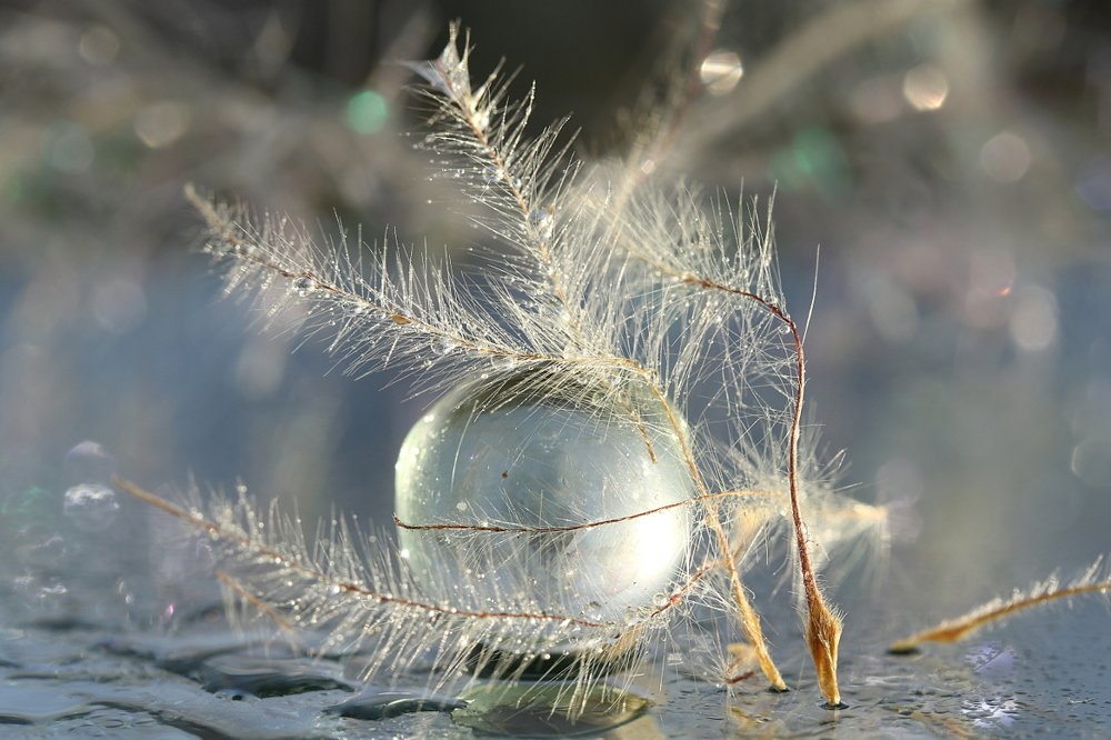 Photograph by Шруб (Беляева) Татьяна