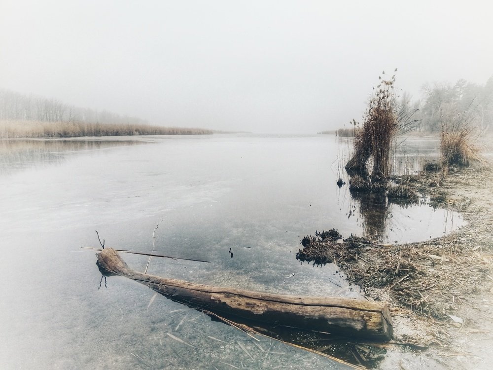 Photograph by Павел