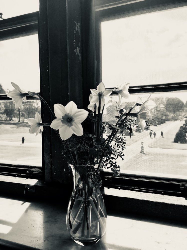 Photograph by Анастасия Козлова