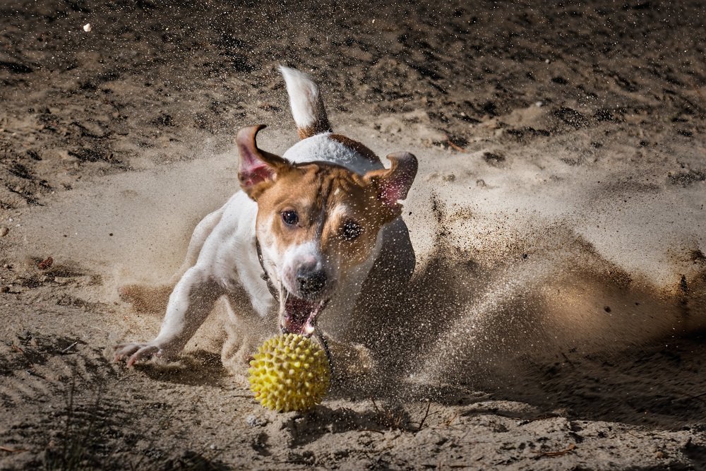 Фотография автора Владислав Храмцов
