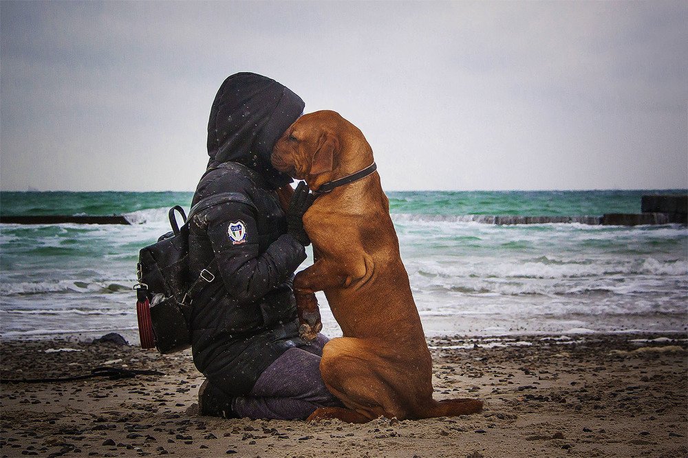 Photograph by Коваленко Ольга