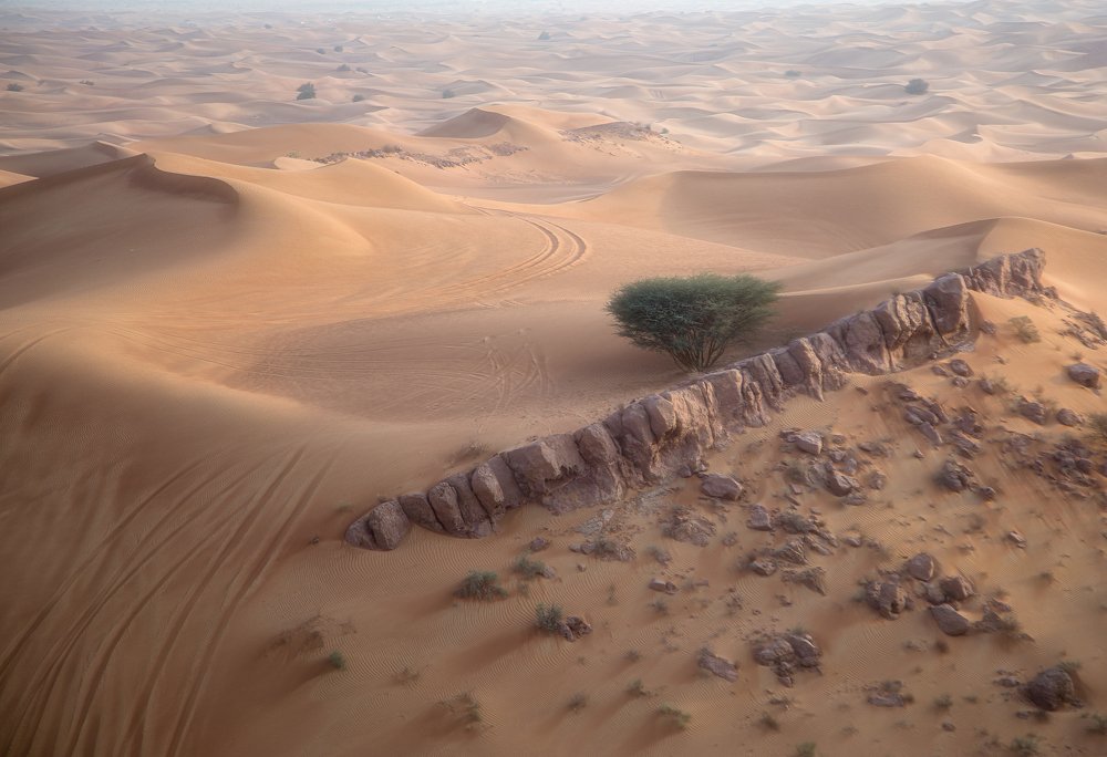 Photograph by Юлия Карась