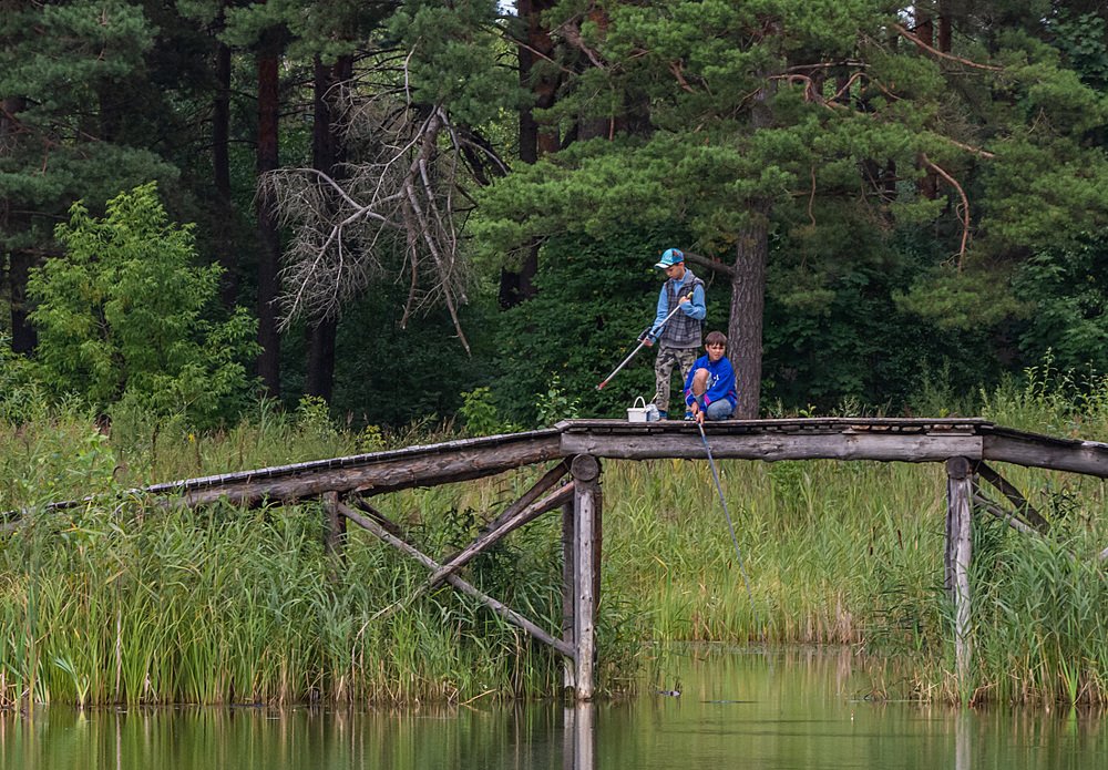 Photograph by Цветков Сергей
