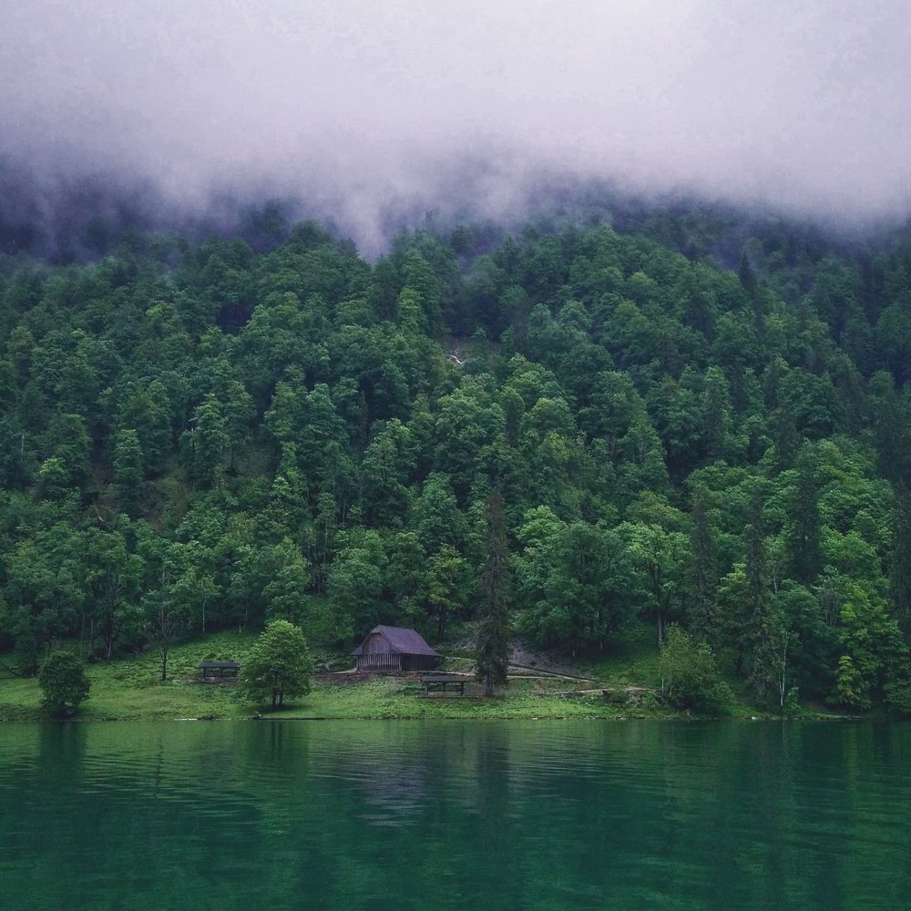 Photograph by Федор Карасев