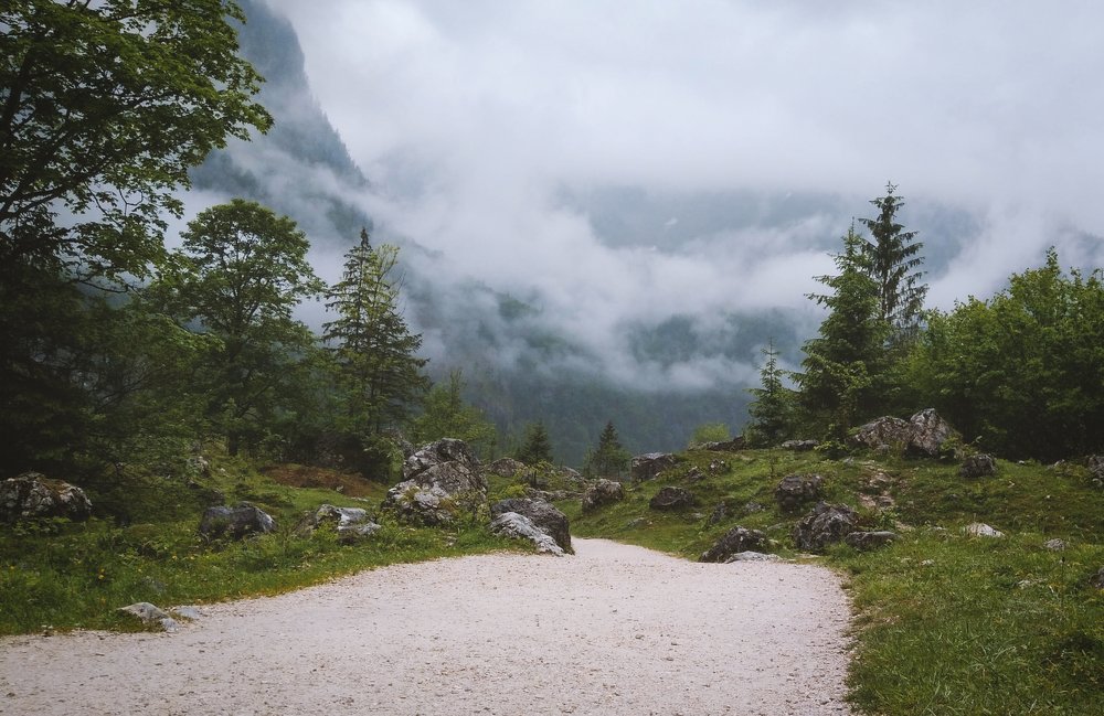 Photograph by Федор Карасев