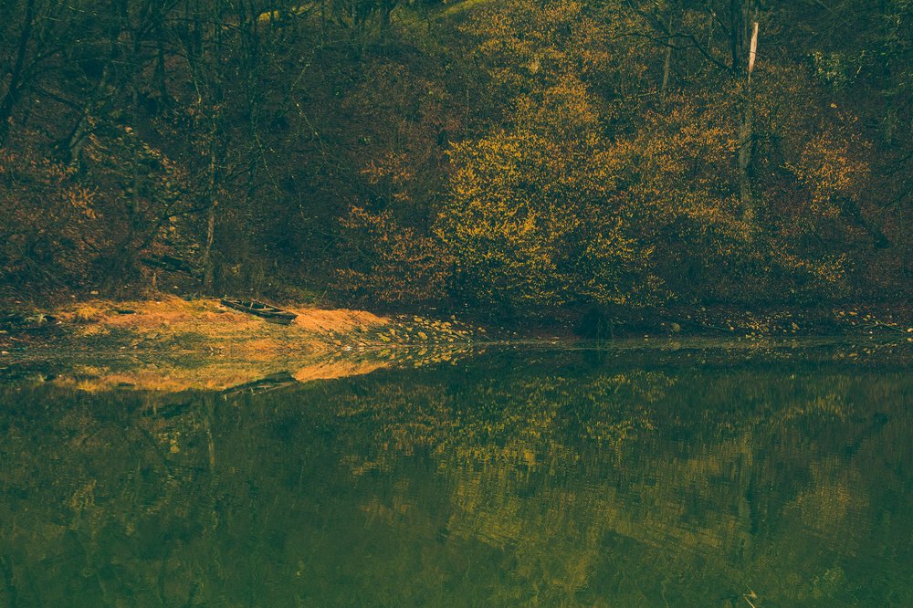 Photograph by Виталий Бондаренко