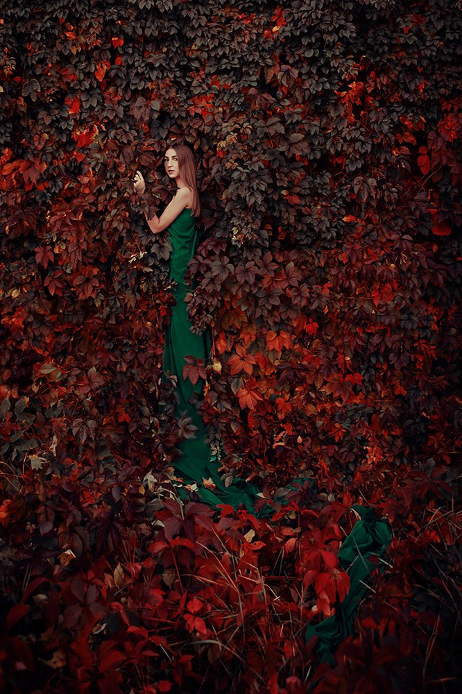 Лето уходящее в осень