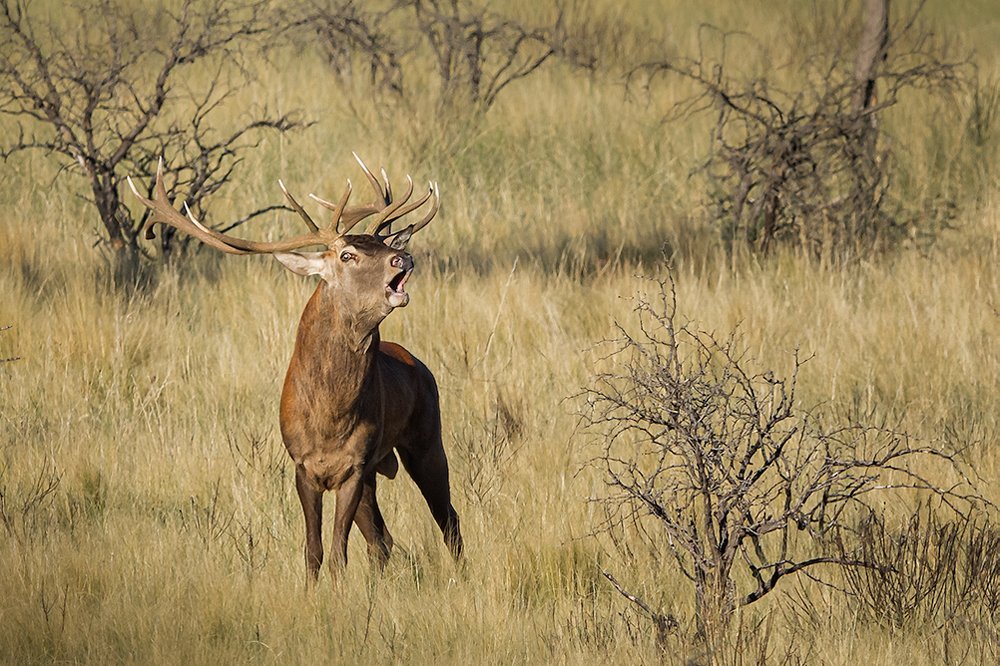 Photograph by Meire Rueda