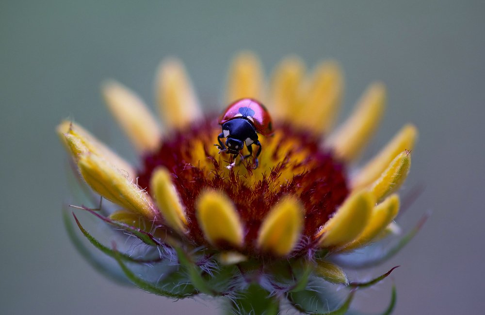 Photograph by Наталия Иванова