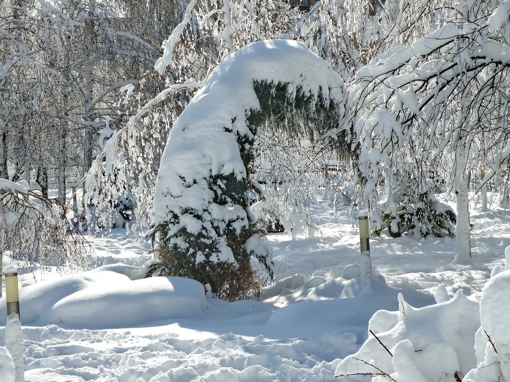 Photograph by Валерий