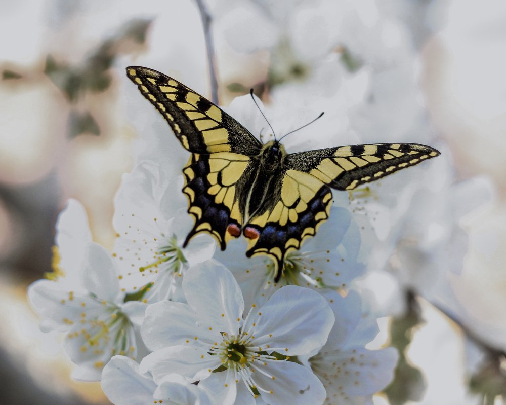 Photograph by Андрей Ероха