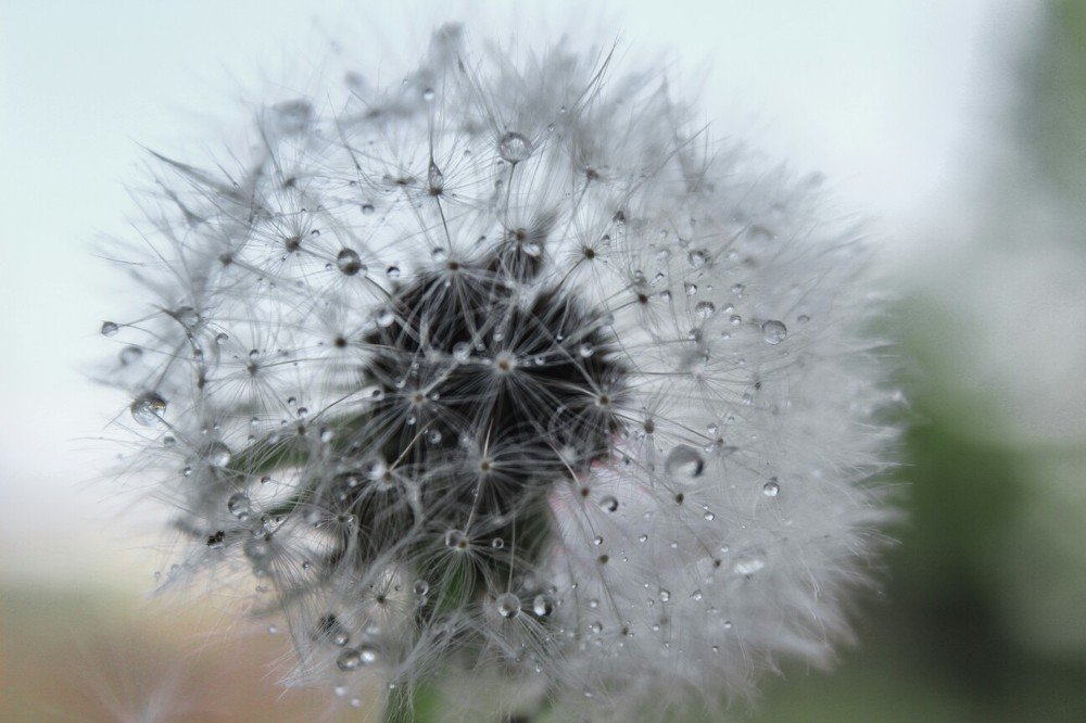 Photograph by Игорь Медведев