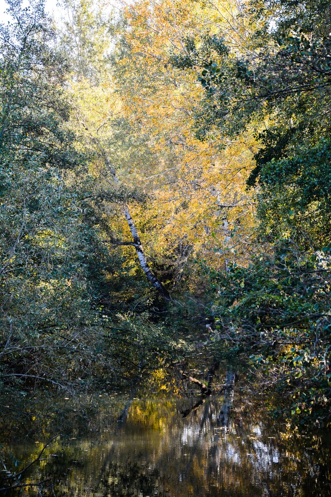 View from the bridge and the small Pek river. Veliko Gradiste, Serbia.