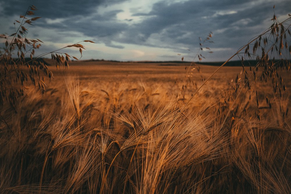 Photograph by Андрей Ероха