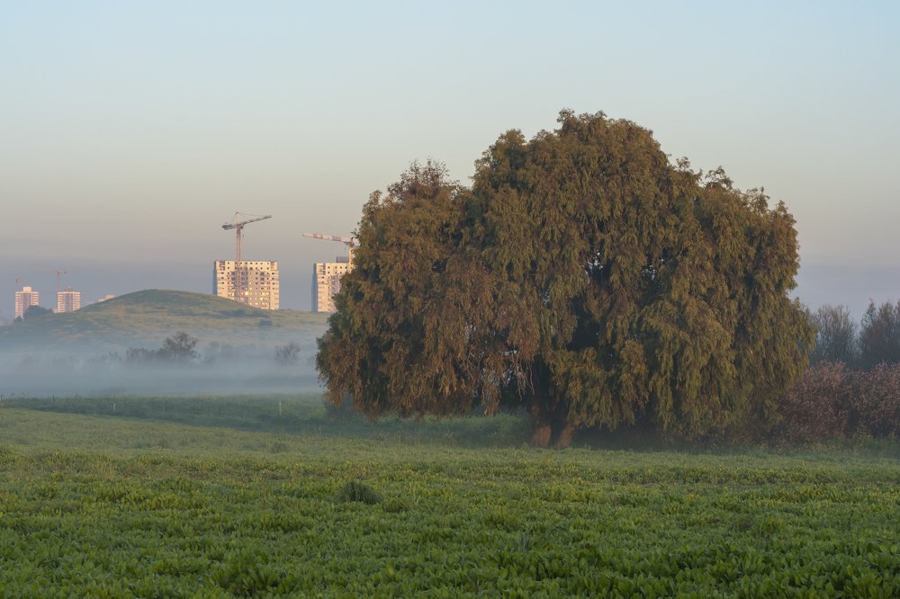 Photograph by Genadi Cobzar