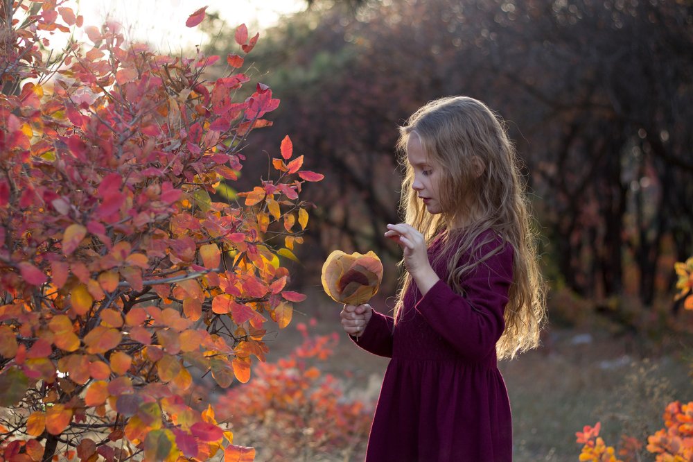 Photograph by Алина Игошева