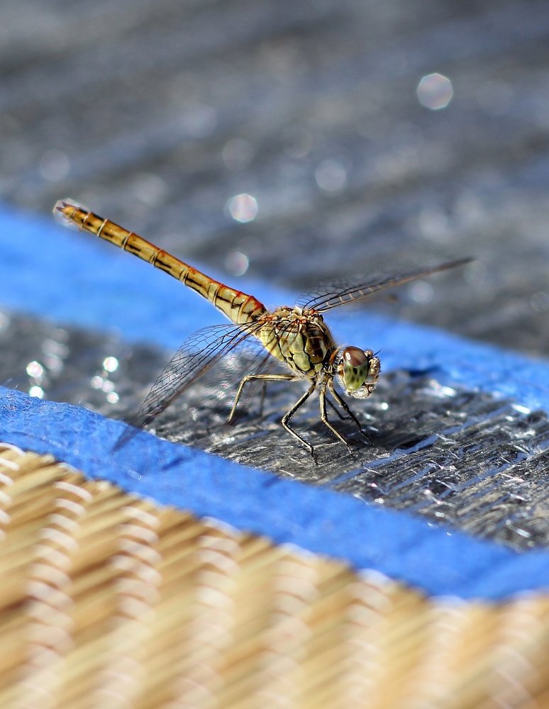 К взлету готова