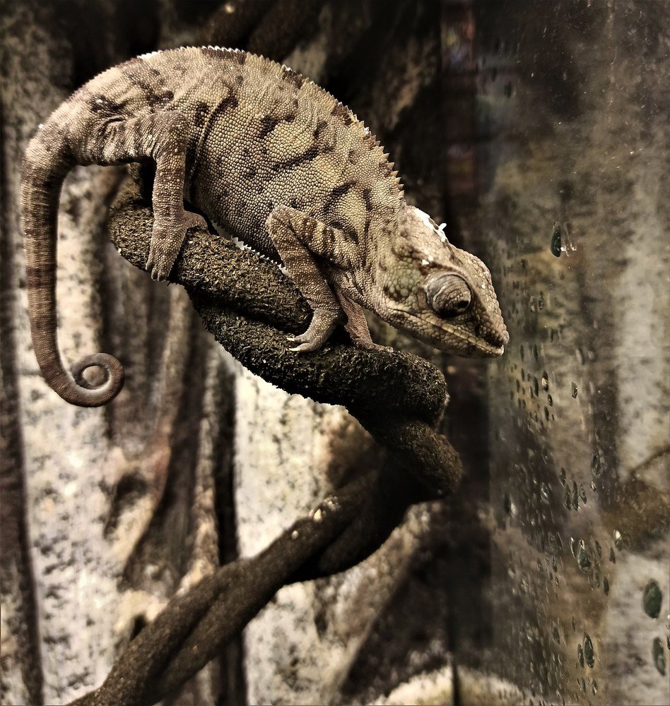 Photograph by Сергей Лобозов