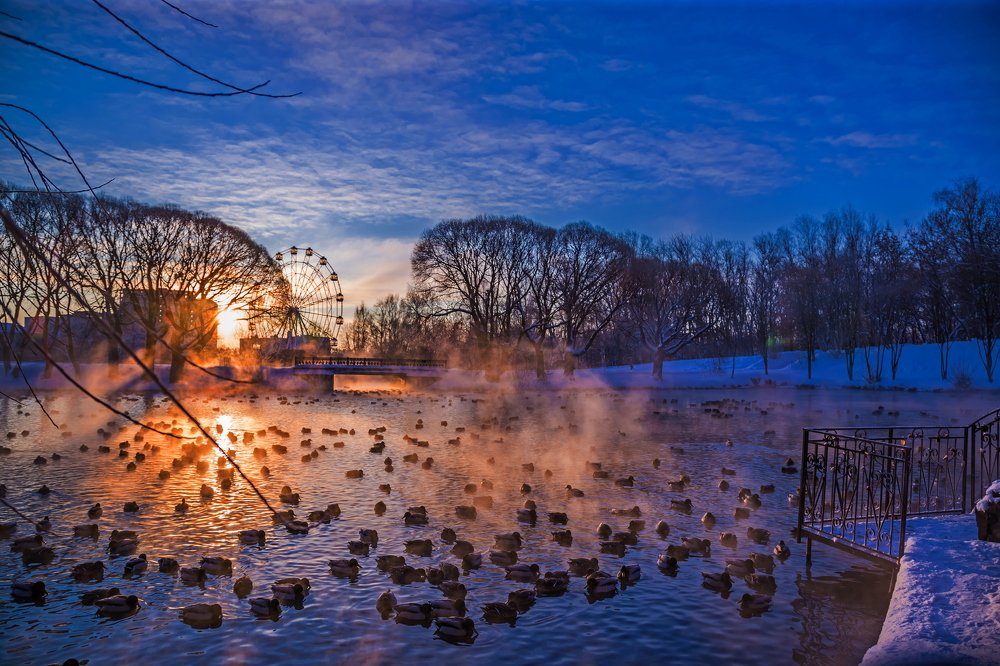 Photograph by Дмитрий Пасынков