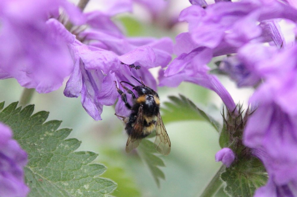 Работник месяца .