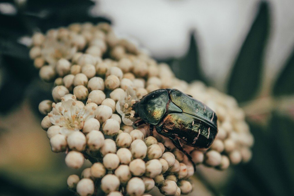 Photograph by Игорь Медведев