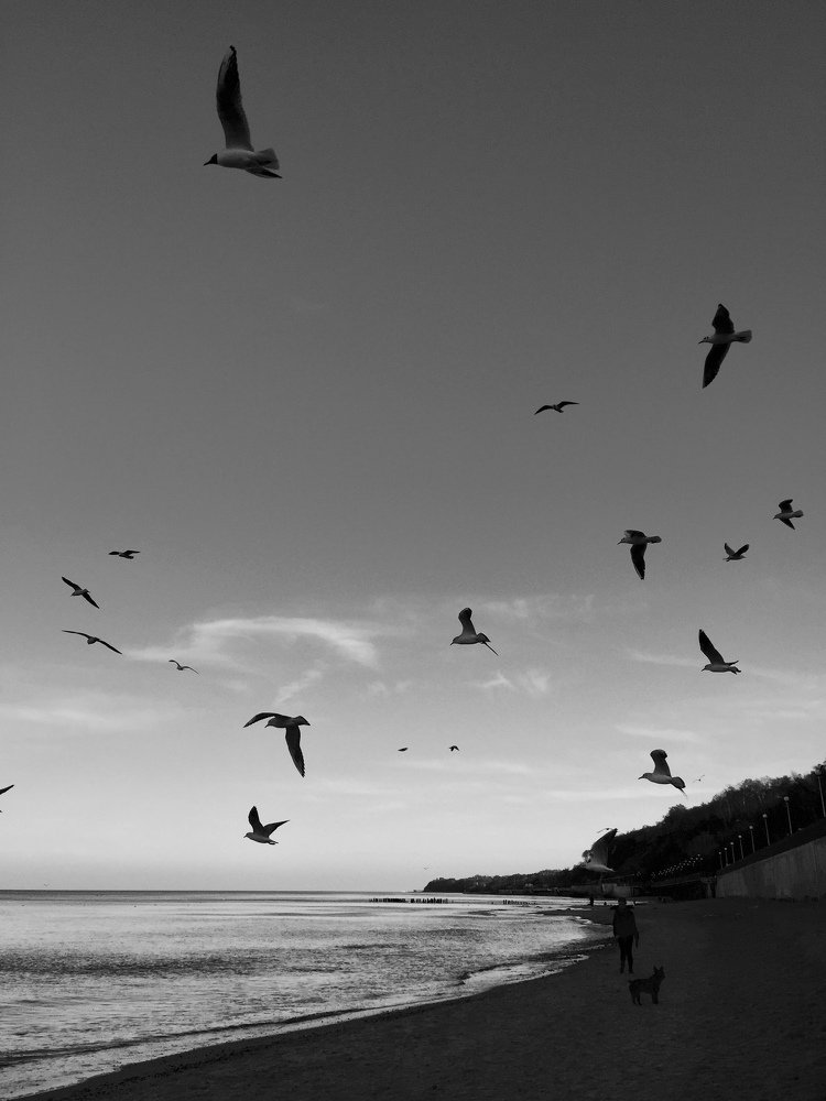 Photograph by Анастасия Козлова