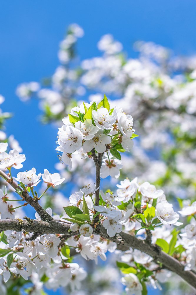 Photograph by Татьяна Мельник