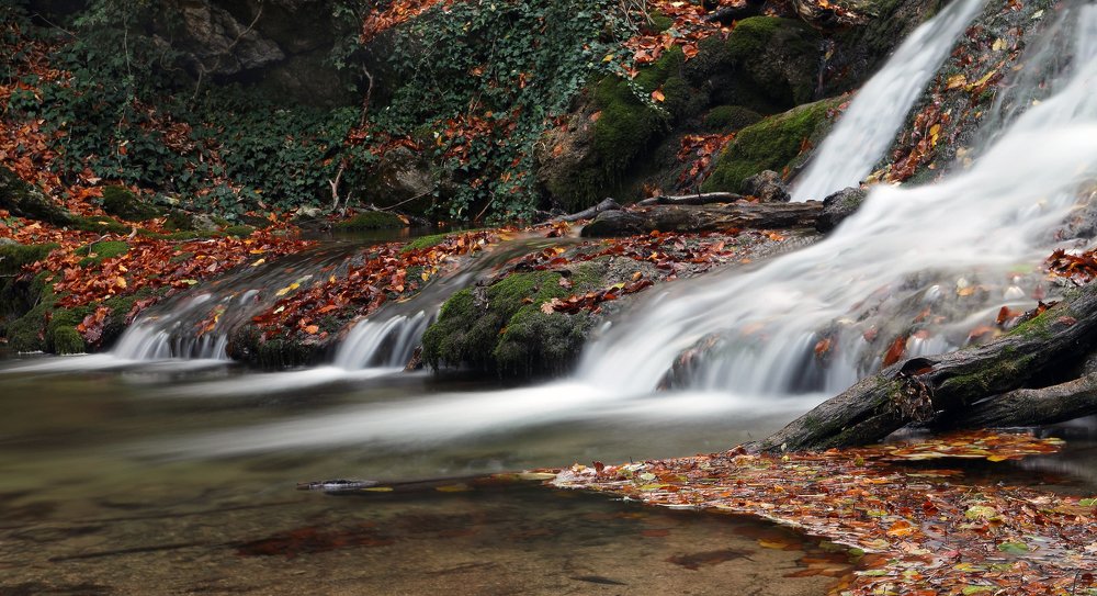 Photograph by Елена Врублевская