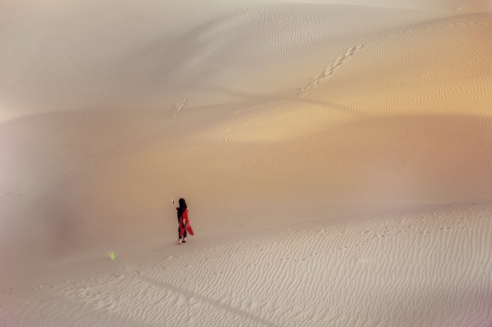 Photograph by alireza haji Akhondian