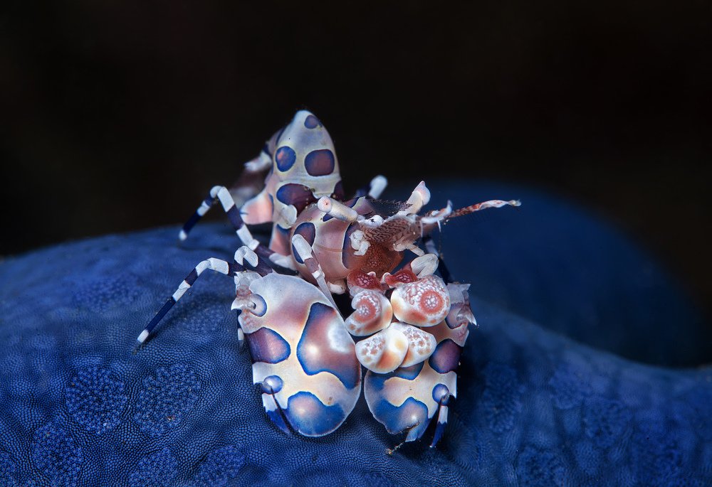 Фотография автора Нарчук Андрей